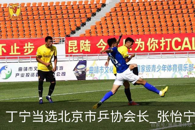 丁宁当选北京市乒协会长 张怡宁当选理事