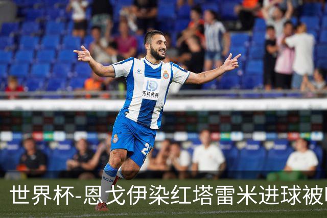世界杯-恩戈伊染红塔雷米进球被吹 10人比利时0-0伊朗