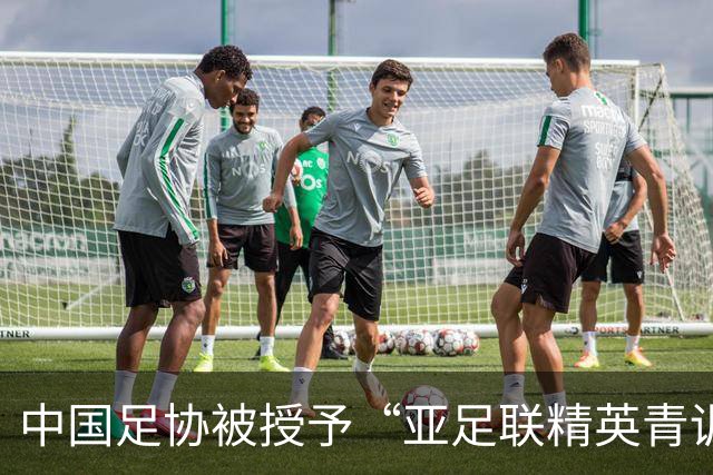 中国足协被授予“亚足联精英青训计划三星会员”资格