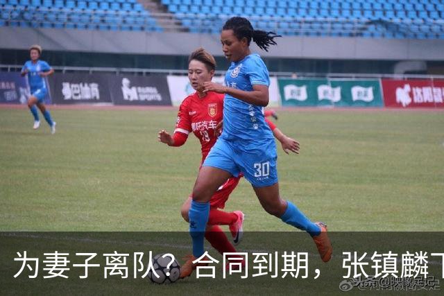 为妻子离队？合同到期，张镇麟下家4选1，广东2队有机会