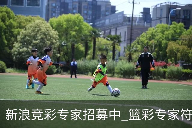 新浪竞彩专家招募中 篮彩专家符合条件优先录用