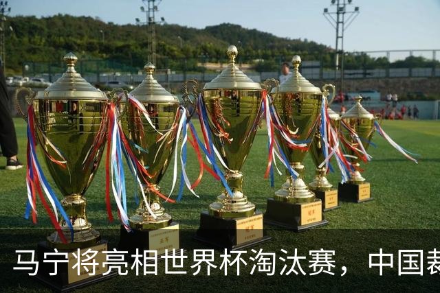马宁将亮相世界杯淘汰赛，中国裁判的高度，国足追不上